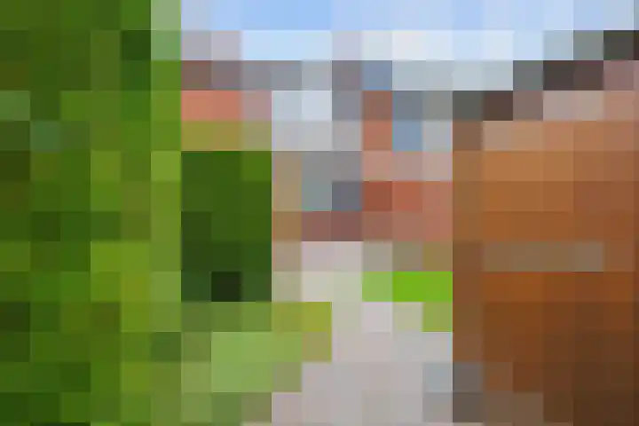 De Capel 4 Ulrum thumbnail 33