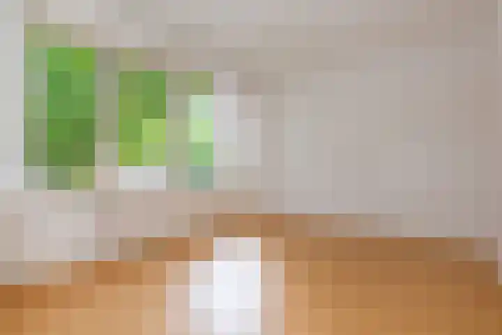 De Carpentierlaan 16 Haarlem thumbnail 20