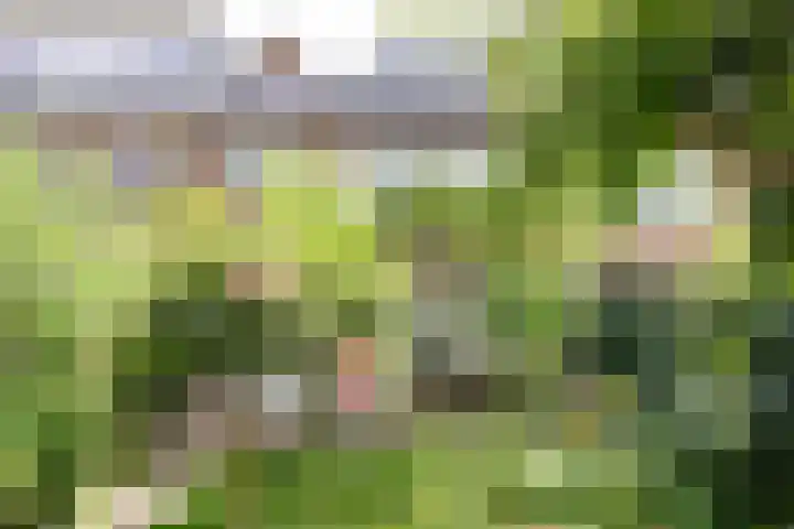 De Carpentierlaan 16 Haarlem thumbnail 28