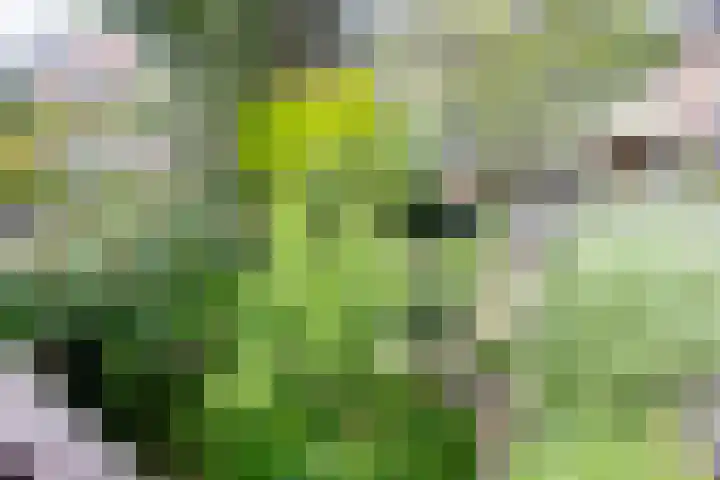 De Carpentierlaan 16 Haarlem thumbnail 31