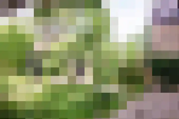 De Carpentierlaan 16 Haarlem thumbnail 32