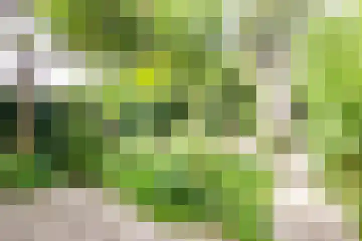 De Carpentierlaan 16 Haarlem thumbnail 4