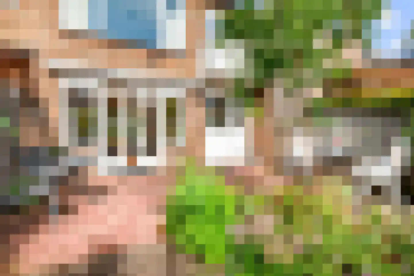 De Carpentierlaan 27 Haarlem thumbnail 29