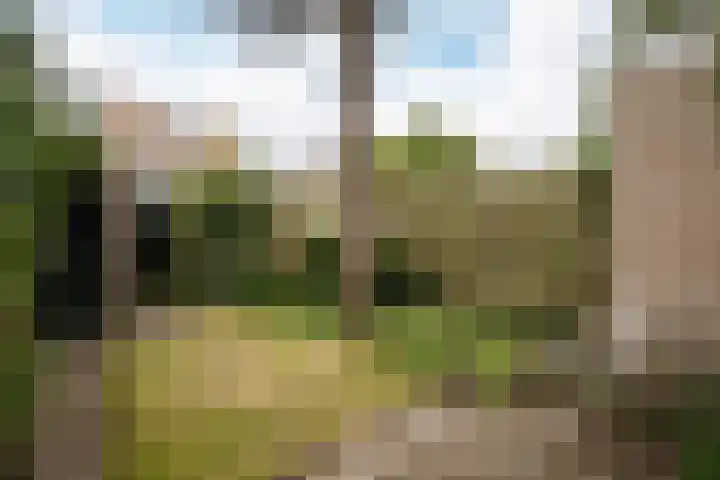 De Carpentierlaan 3 Haarlem thumbnail 25