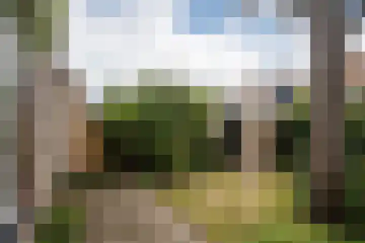 De Carpentierlaan 3 Haarlem thumbnail 27
