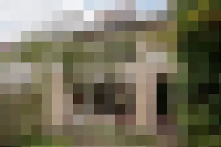 De Carpentierlaan 3 Haarlem thumbnail 30