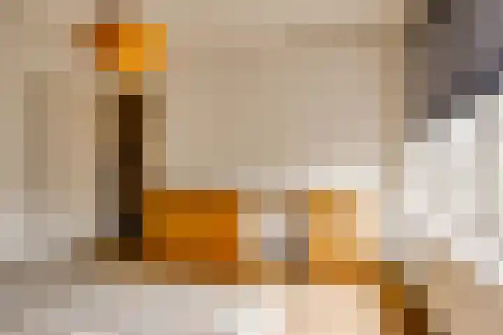 De Carpentierlaan 3 Haarlem thumbnail 34