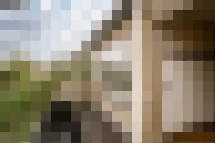 De Carpentierlaan 3 Haarlem thumbnail 37