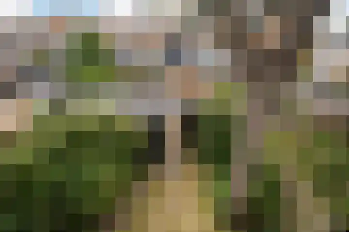 De Carpentierlaan 3 Haarlem thumbnail 38