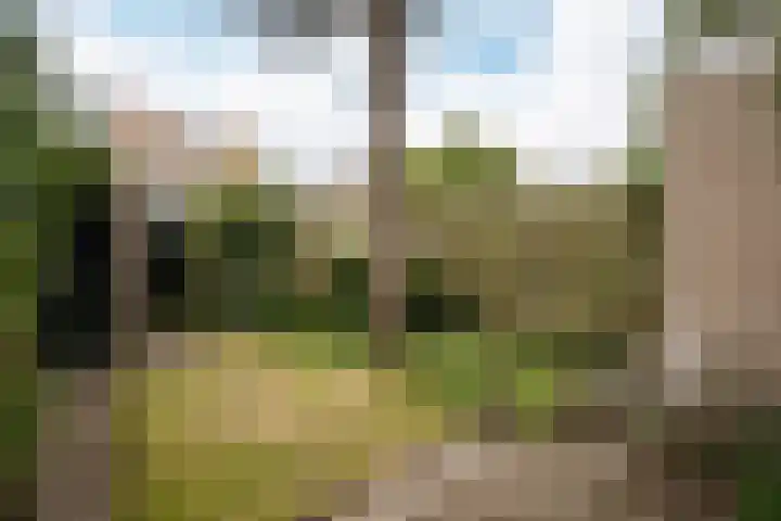 De Carpentierlaan 3 Haarlem thumbnail 5