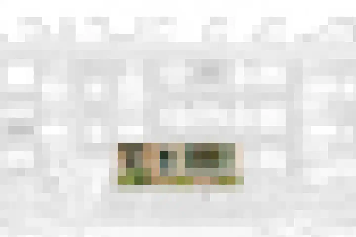 De Carpentierstraat 119 Den Haag thumbnail 6