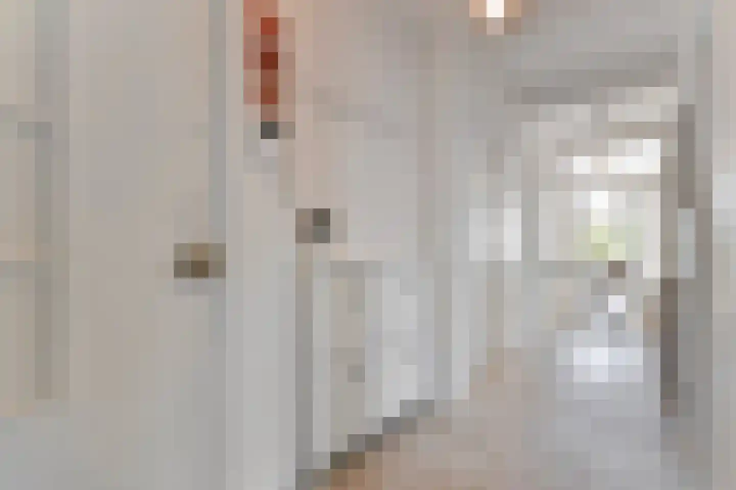 De Carpentierstraat 135 C Den Haag thumbnail 23