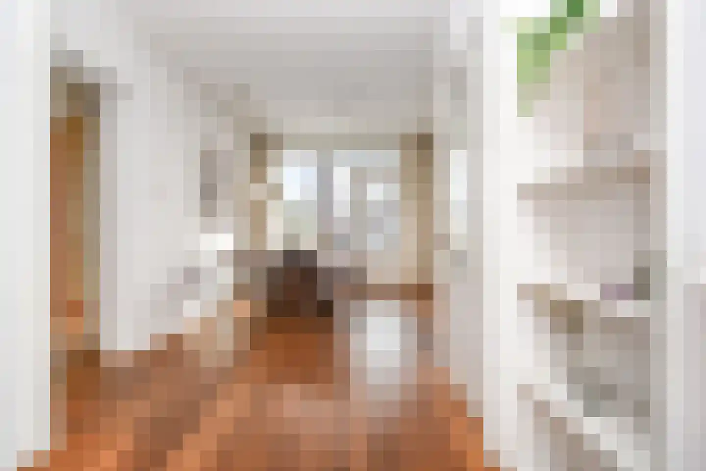 De Carpentierstraat 15 A Den Haag thumbnail 11