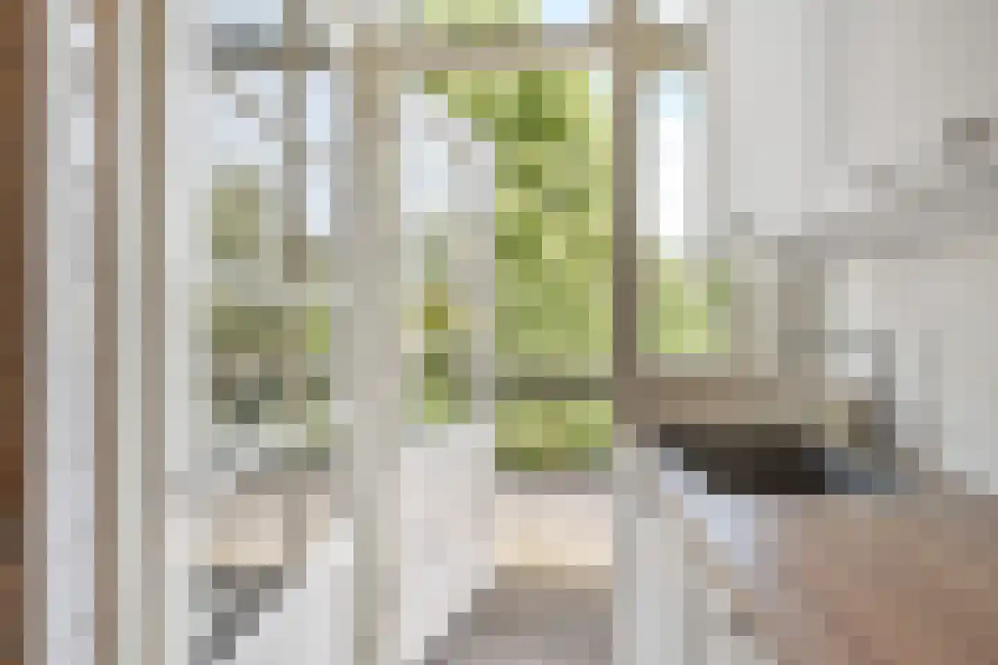 De Carpentierstraat 28 Den Haag thumbnail 15