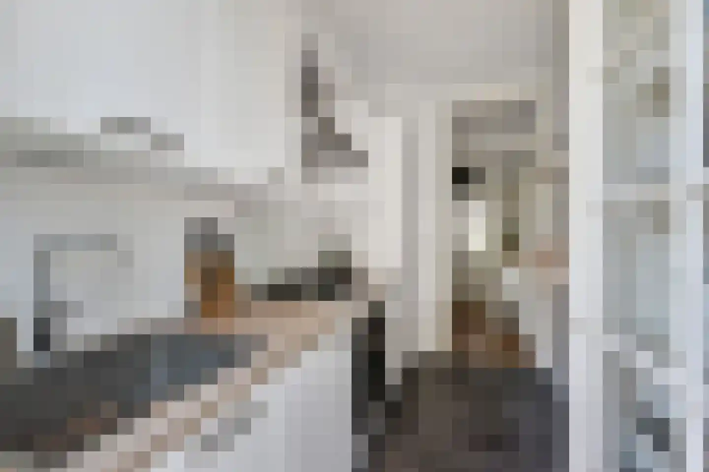 De Carpentierstraat 28 Den Haag thumbnail 19