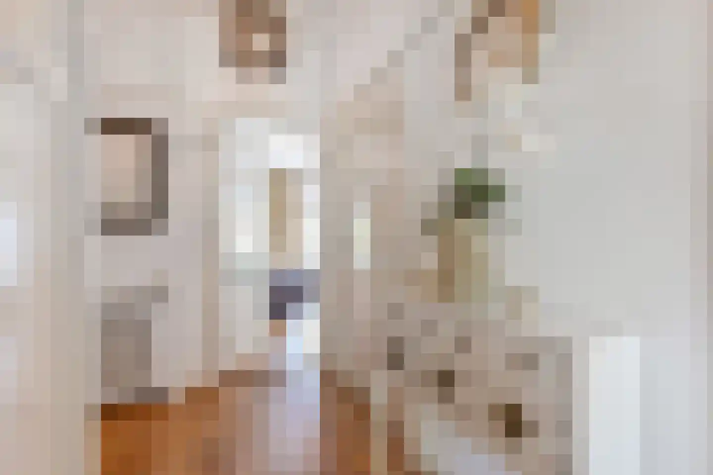 De Carpentierstraat 28 Den Haag thumbnail 5