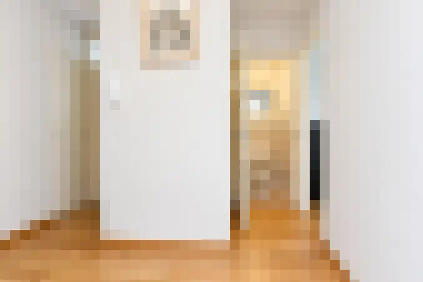 De Carpentierstraat 55 Den Haag thumbnail 22