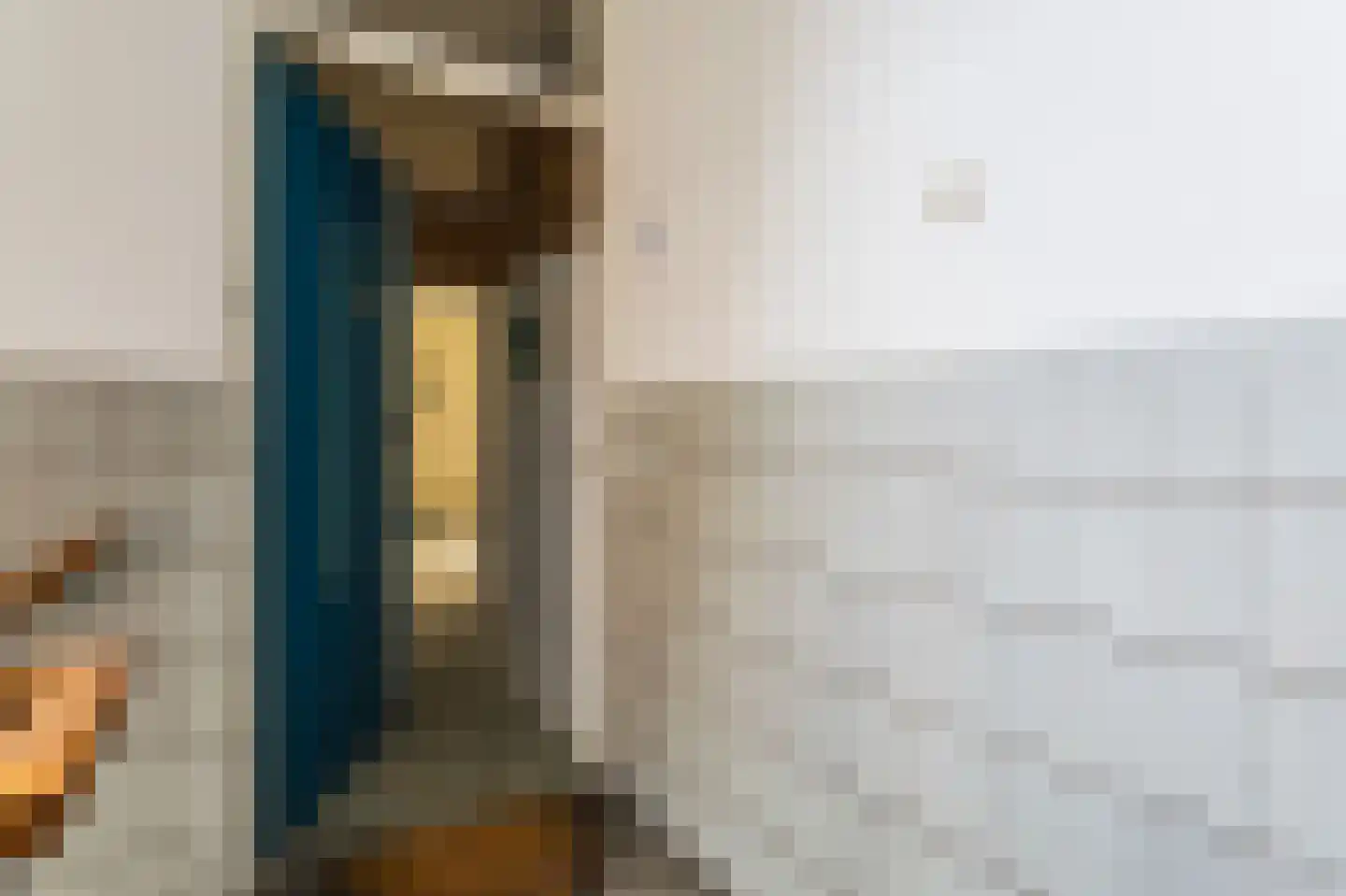 De Carpentierstraat 59 Den Haag thumbnail 21