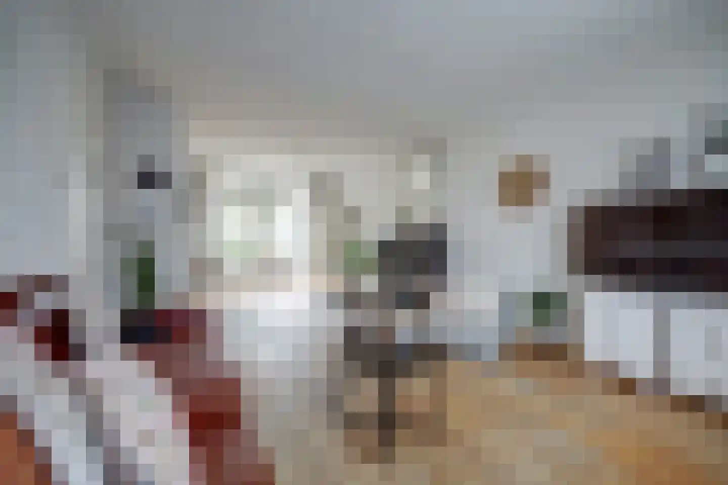 De Cartouwe 84 Vollenhove thumbnail 11
