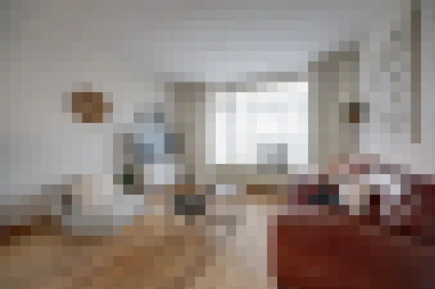 De Cartouwe 84 Vollenhove thumbnail 13