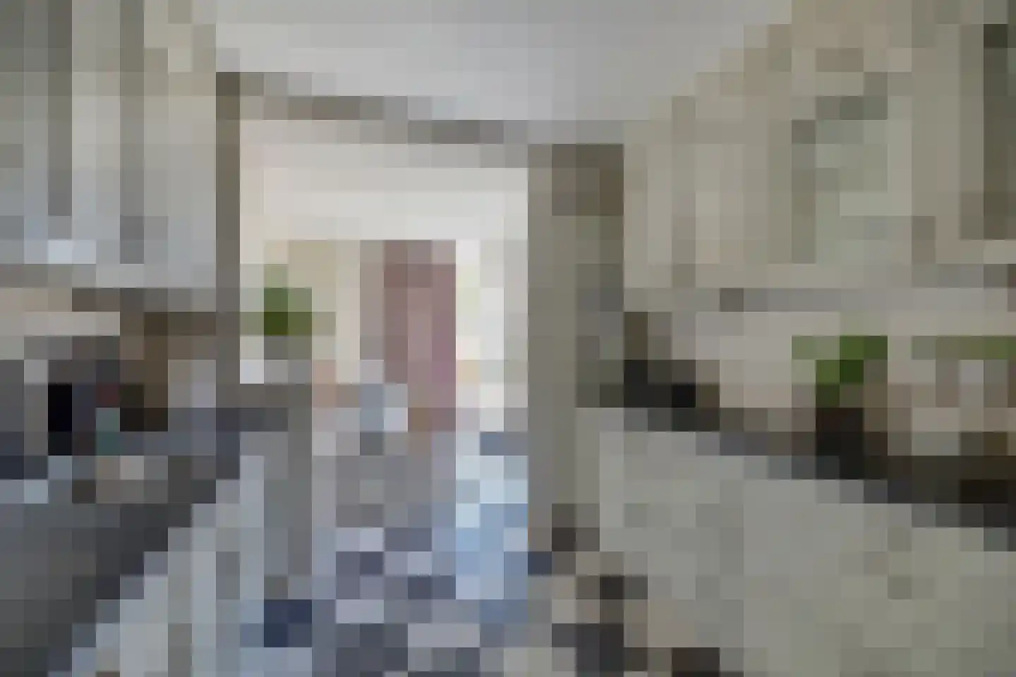 De Cartouwe 84 Vollenhove thumbnail 14