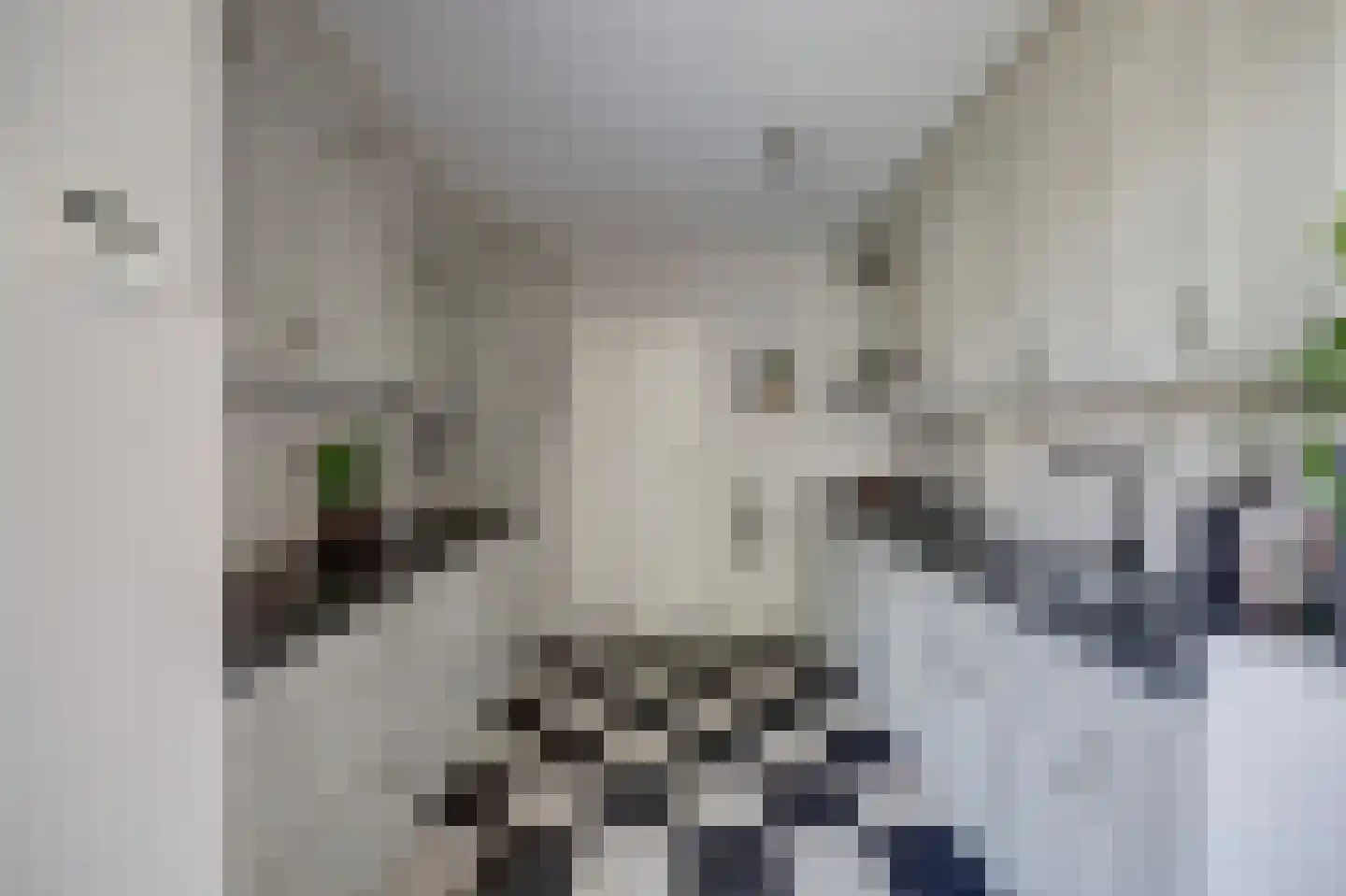 De Cartouwe 84 Vollenhove thumbnail 15
