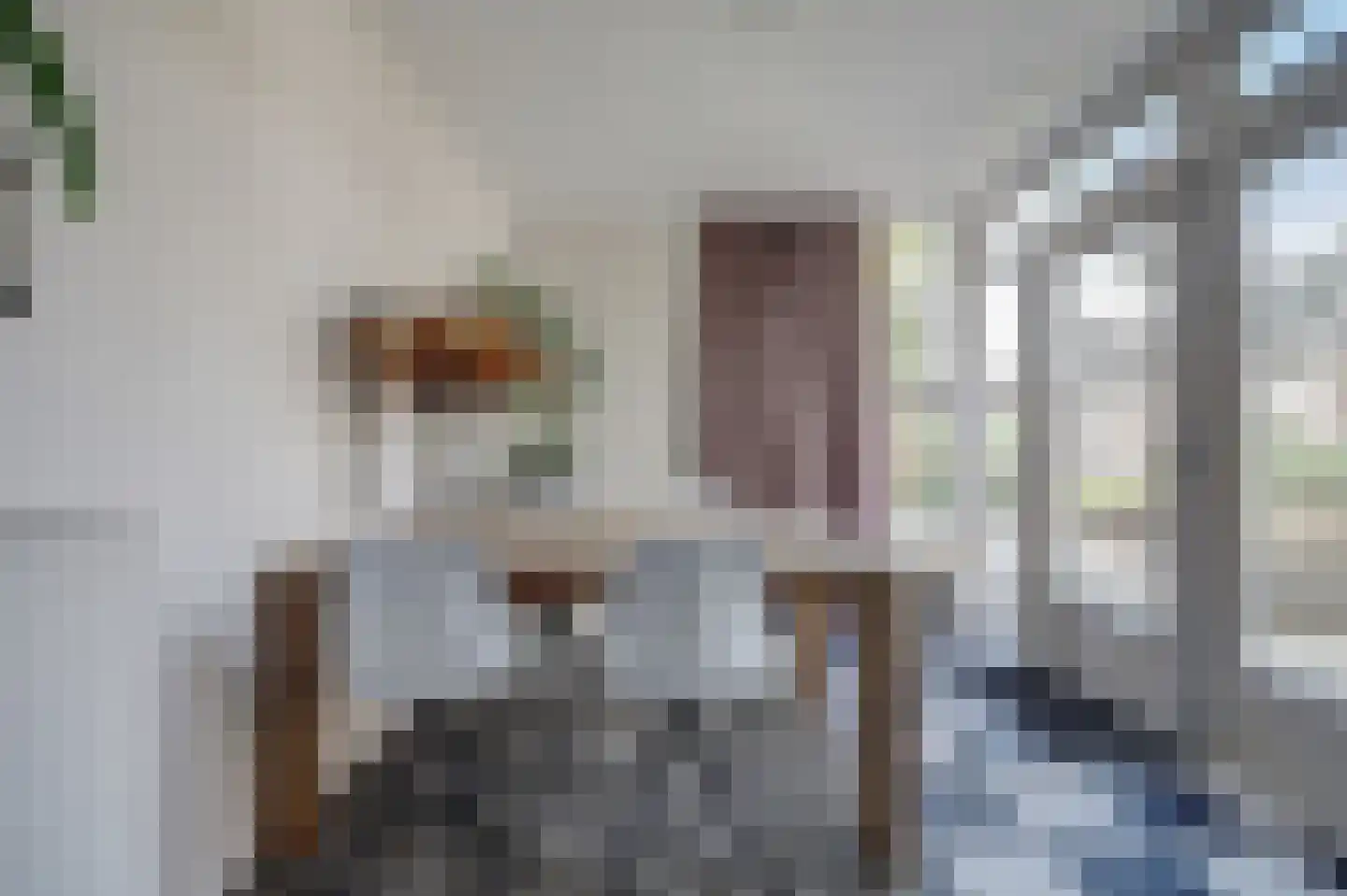 De Cartouwe 84 Vollenhove thumbnail 17