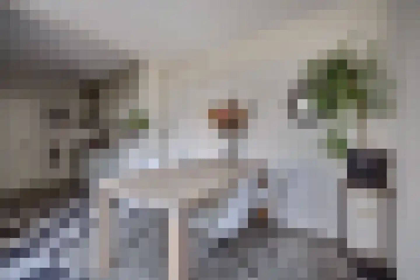 De Cartouwe 84 Vollenhove thumbnail 18