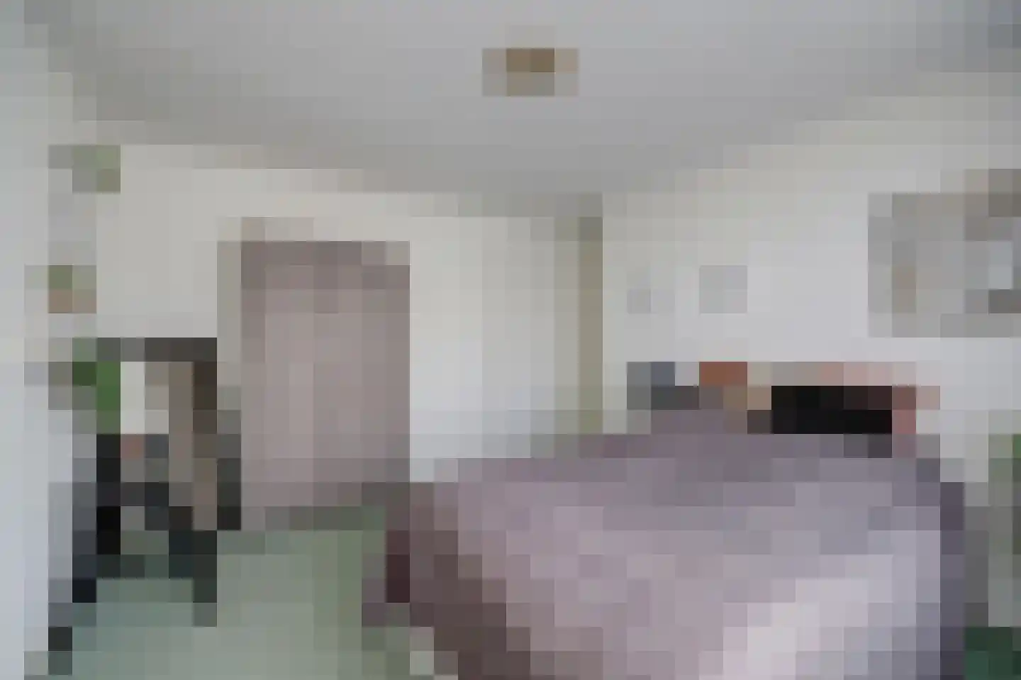De Cartouwe 84 Vollenhove thumbnail 21