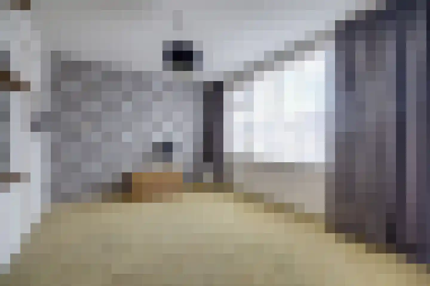 De Cartouwe 84 Vollenhove thumbnail 24