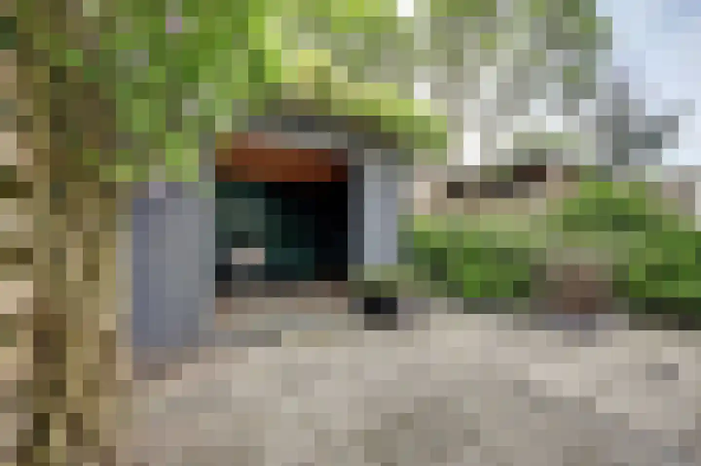 De Cartouwe 84 Vollenhove thumbnail 36