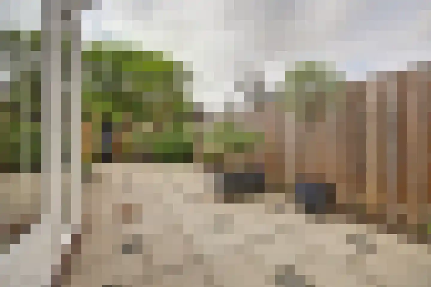 De Cartouwe 84 Vollenhove thumbnail 38