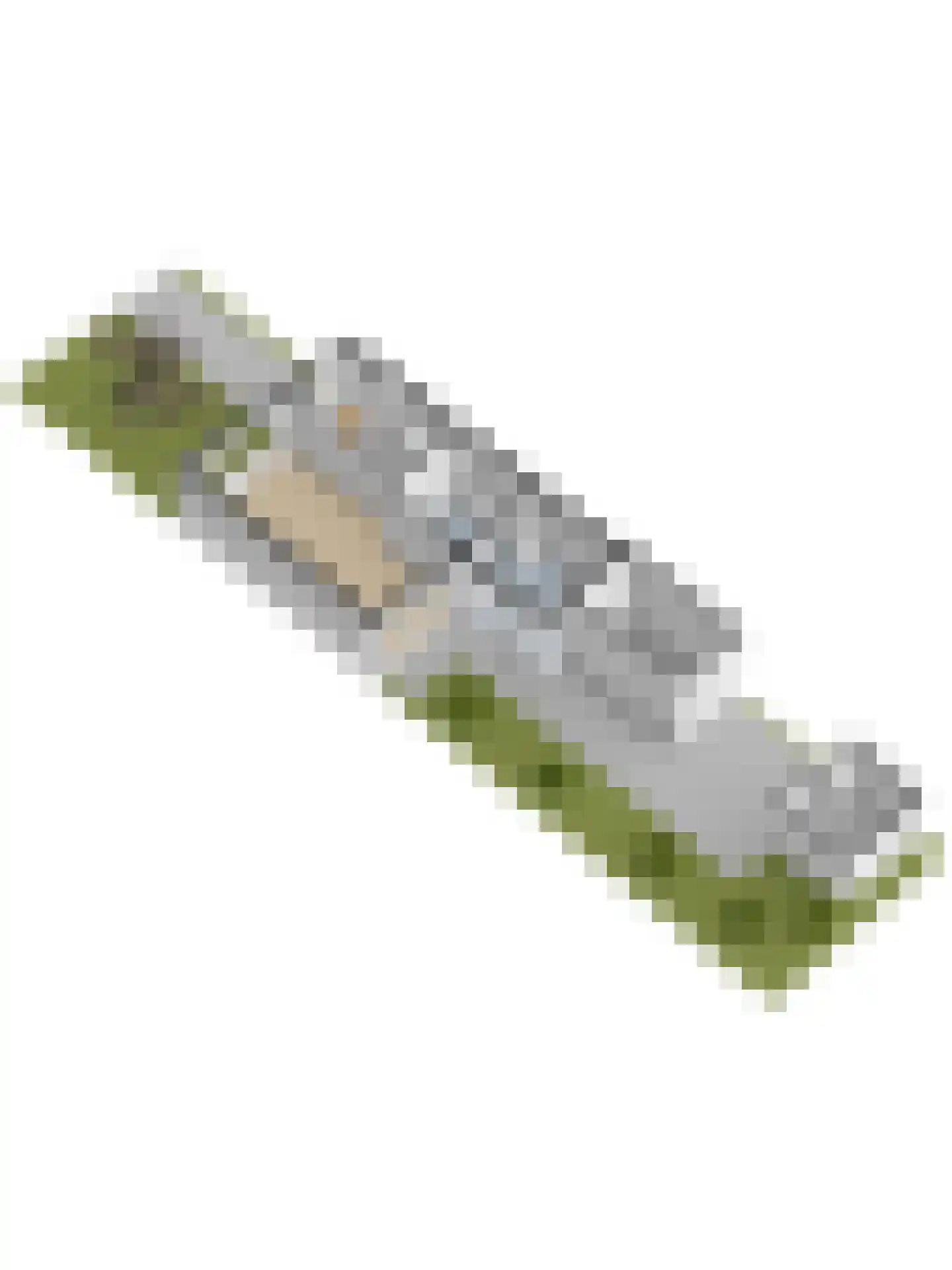 De Cartouwe 84 Vollenhove thumbnail 48