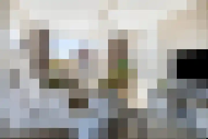 De Casembrootstraat 15 Sint-Annaland thumbnail 13