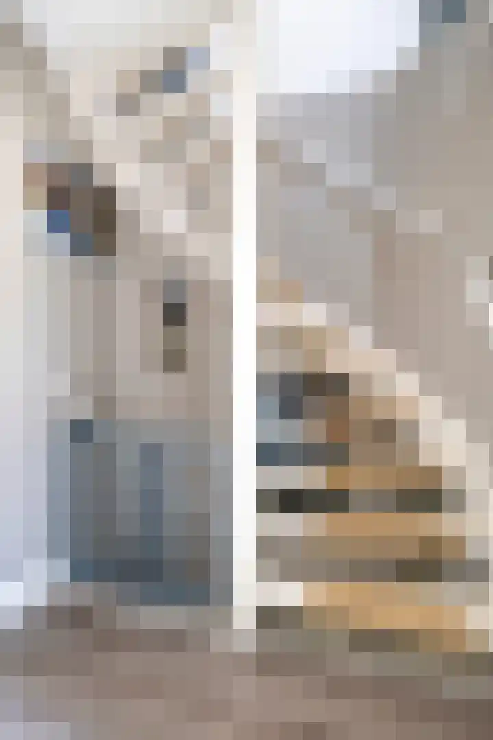 De Casembrootstraat 15 Sint-Annaland thumbnail 23