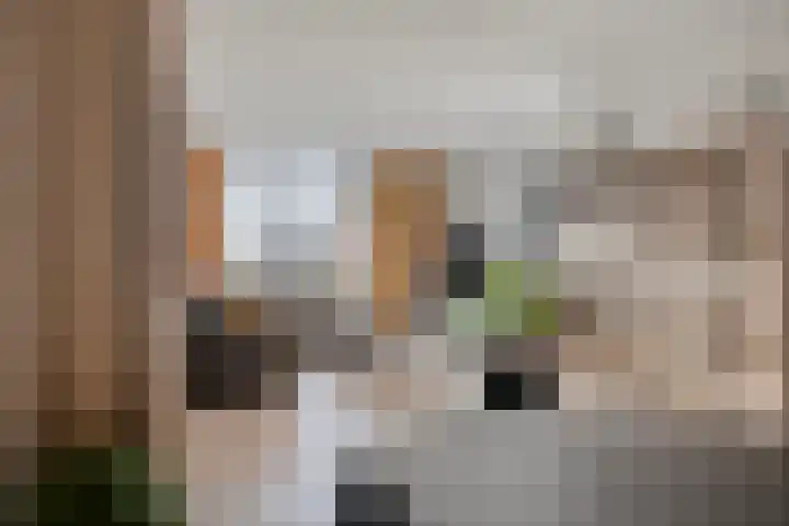 de Casembrootstraat 51 Westkapelle thumbnail 11