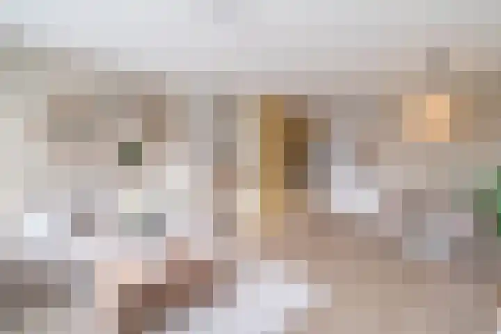 de Casembrootstraat 7 A Westkapelle thumbnail 10