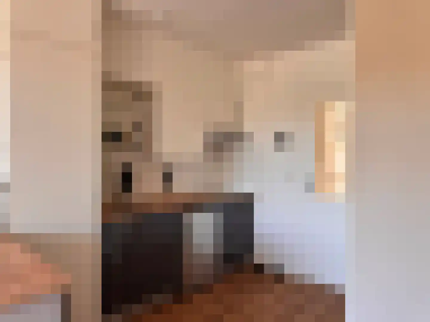 de Casembrootstraat 7 B Westkapelle thumbnail 7