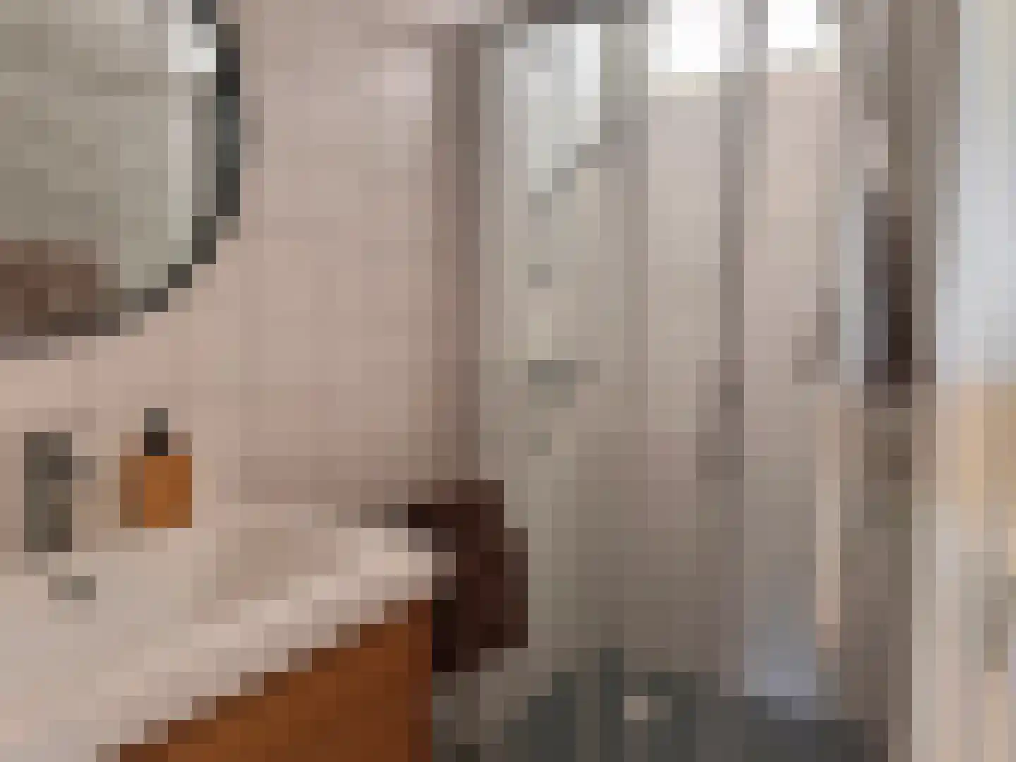 de Casembrootstraat 7 B Westkapelle thumbnail 8