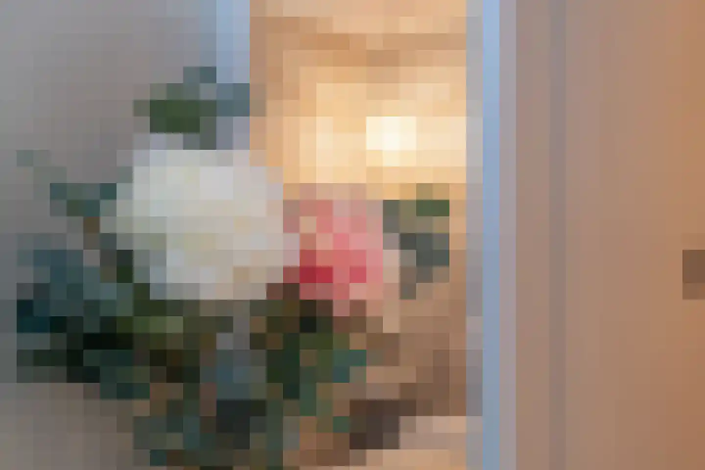 de Casembrootstraat 7 E Westkapelle thumbnail 17