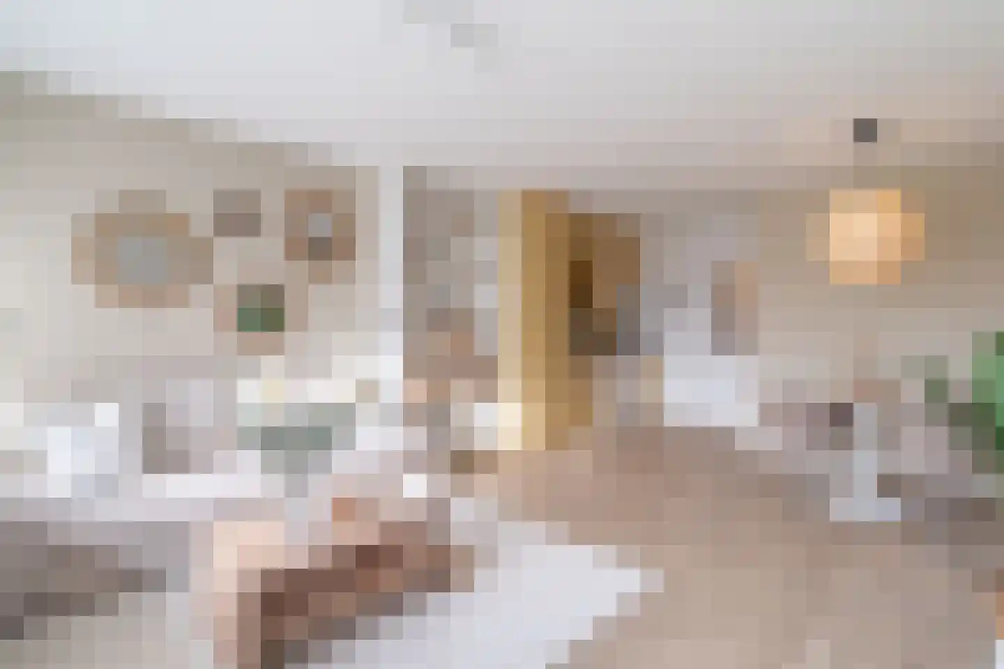 de Casembrootstraat 7 E Westkapelle thumbnail 8