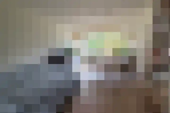 de Casembrootstraat 7 Westkapelle thumbnail 10