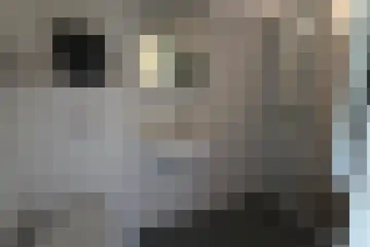de Casembrootstraat 7 Westkapelle thumbnail 16