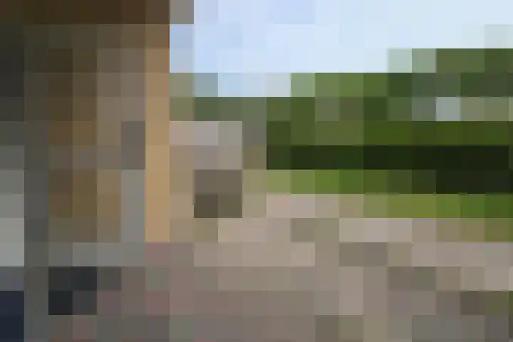 de Casembrootstraat 7 Westkapelle thumbnail 20