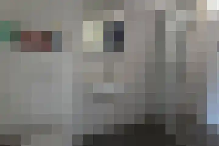 de Casembrootstraat 7 Westkapelle thumbnail 31