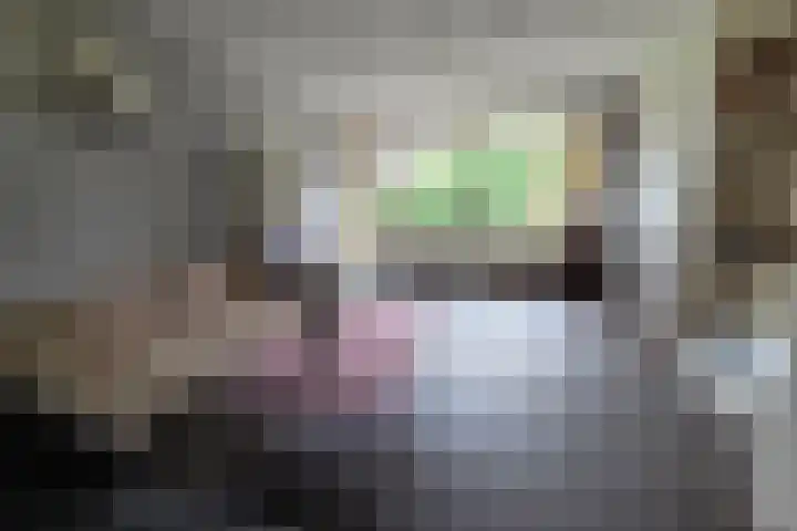 de Casembrootstraat 7 Westkapelle thumbnail 32