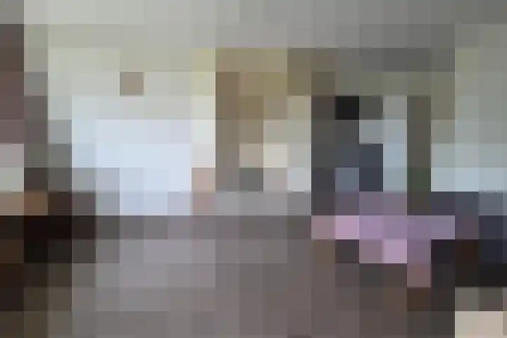 de Casembrootstraat 7 Westkapelle thumbnail 33