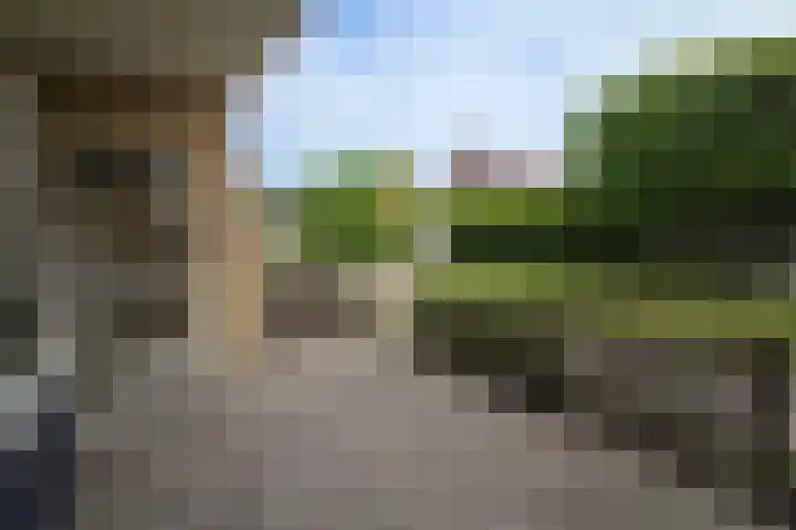de Casembrootstraat 7 Westkapelle thumbnail 34