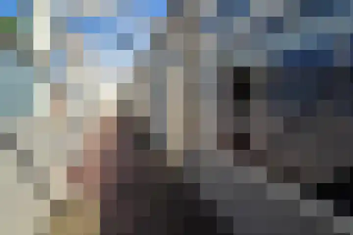 de Casembrootstraat 7 Westkapelle thumbnail 37