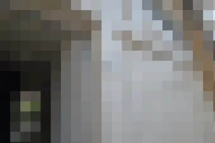 de Casembrootstraat 7 Westkapelle thumbnail 38